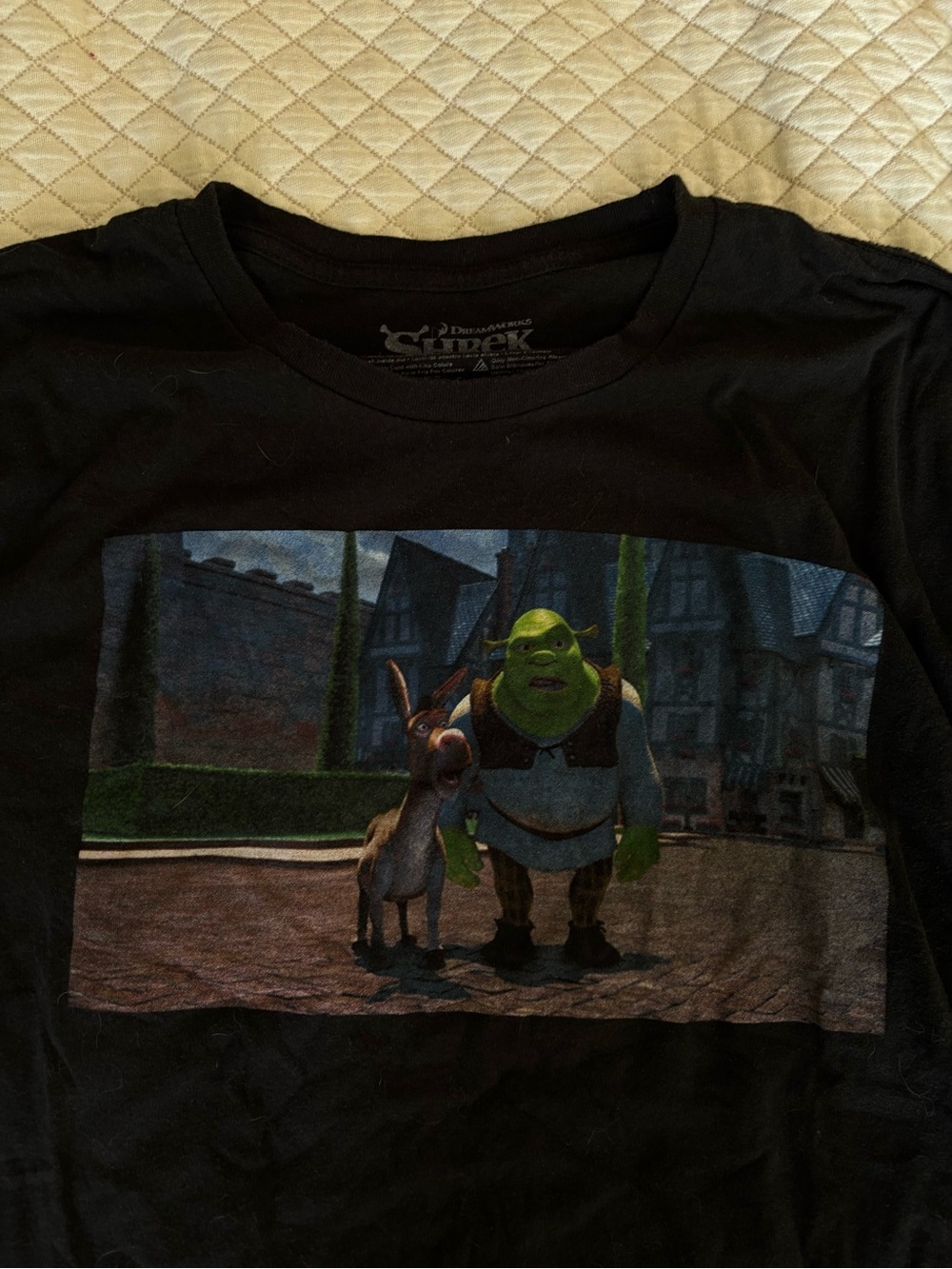 Dreamworks Black Tee with Green Shrek & Brown Donkey Graphic